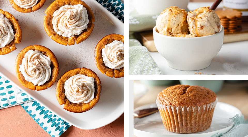 Fall Pumpkin Favorites