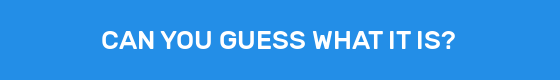 CAN YOU GUESS WHAT IT IS?