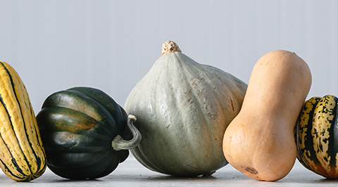 L&B Guide to Winter Squash