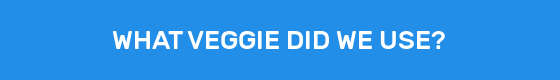 WHAT VEGGIE DID WE USE?