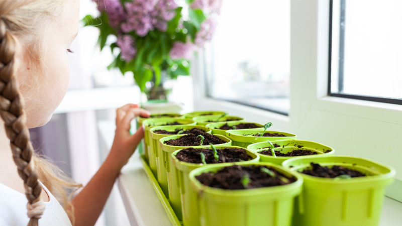 DIY Kitchen Herb Garden