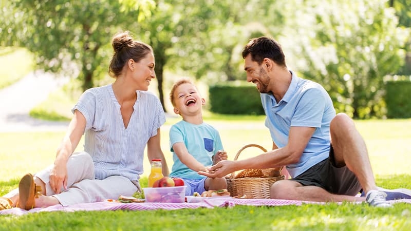How To Plan a Picnic