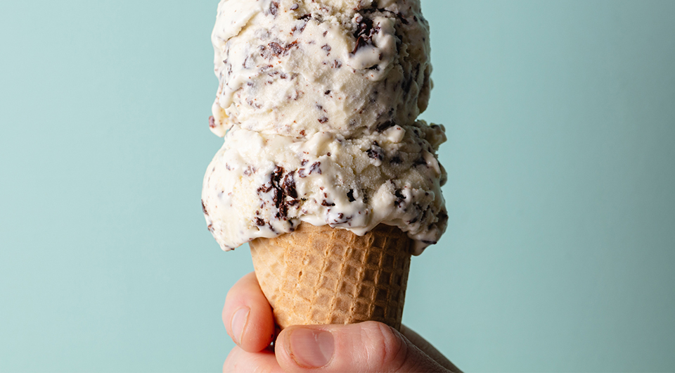 Mint Chocolate Chip Ice Cream